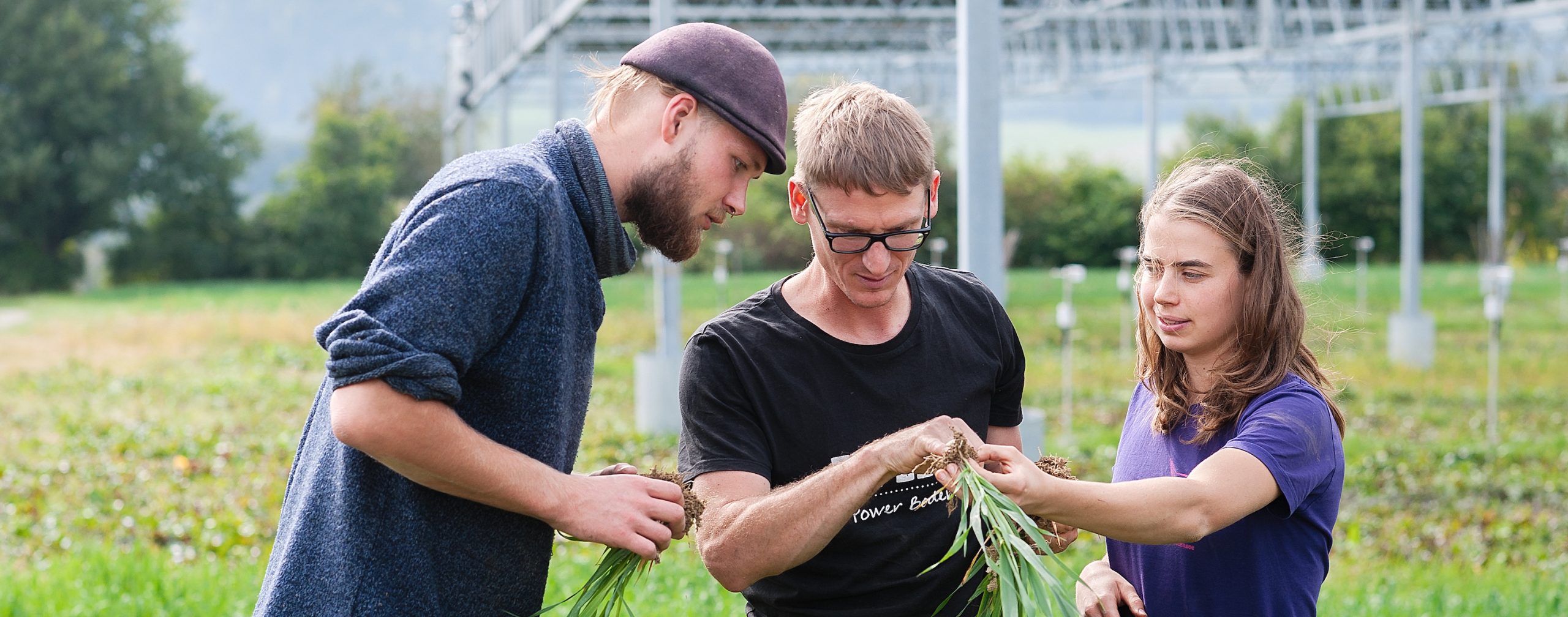 Ausbildungen Biodynamische Bildung