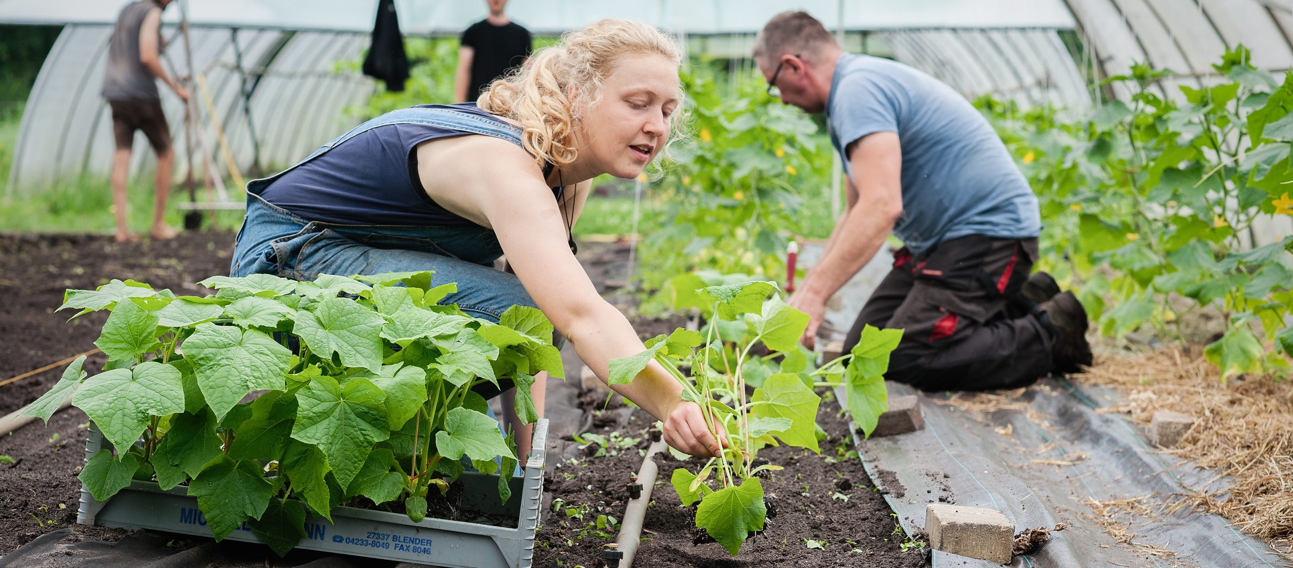 So Wirkt Der Demeter Ausbildungsfonds Biodynamische Bildung